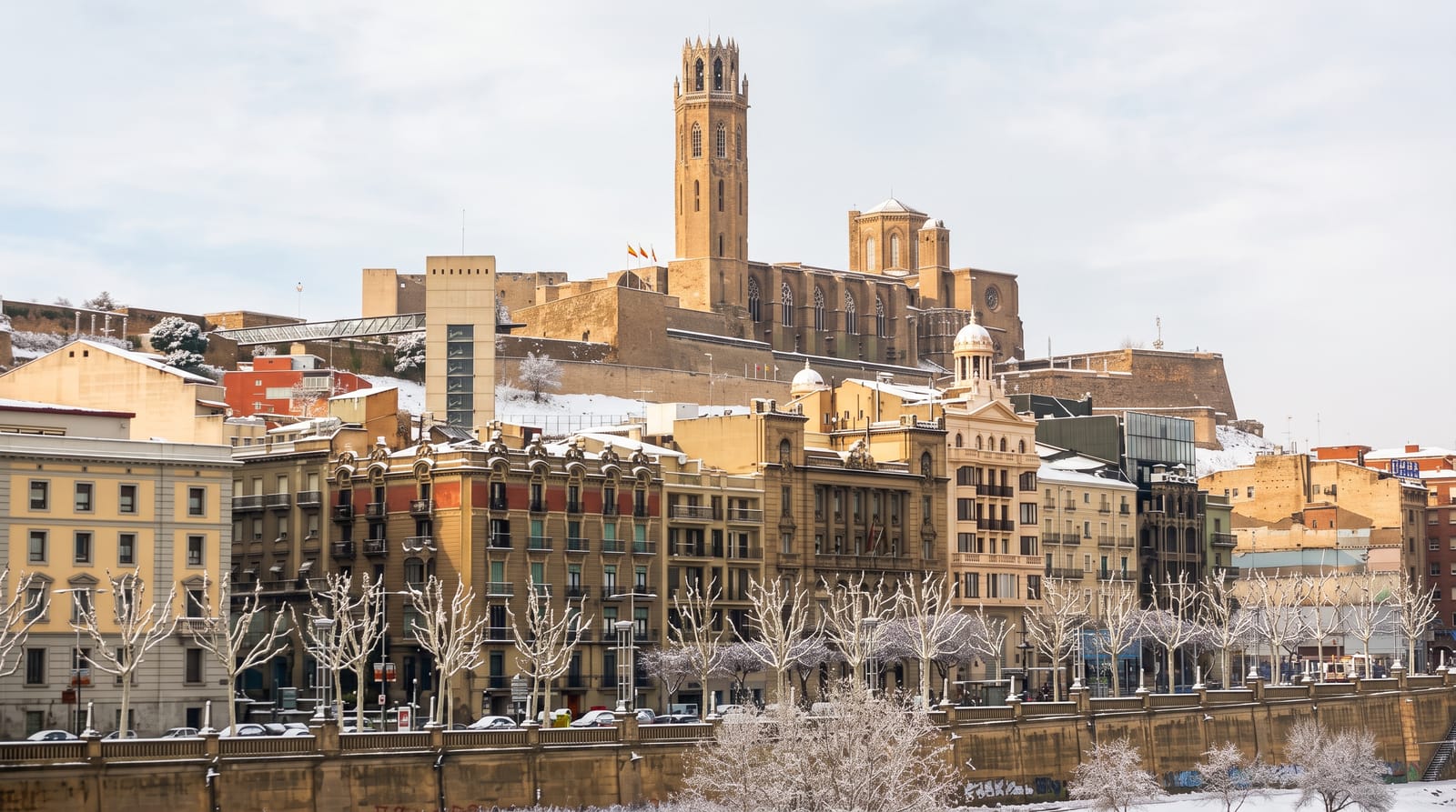Seu Vella of Lleida