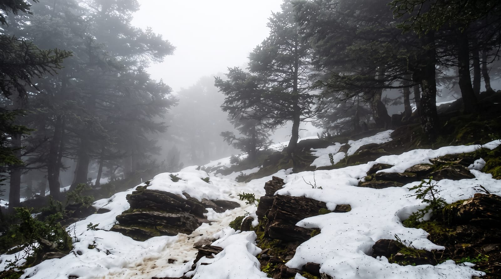 Sierra de las Nieves