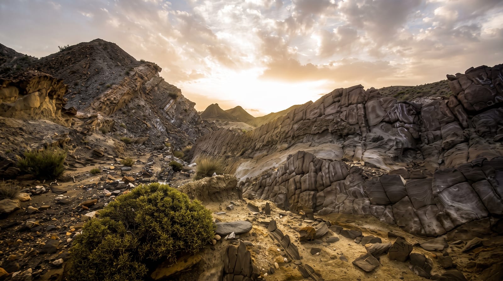 Tabernas Desert