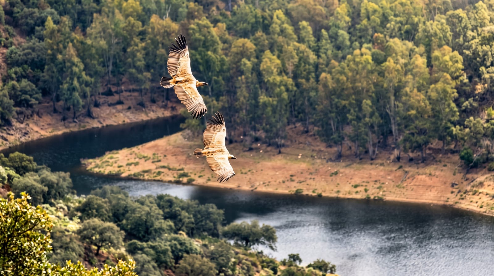 Tajo International Nature Park