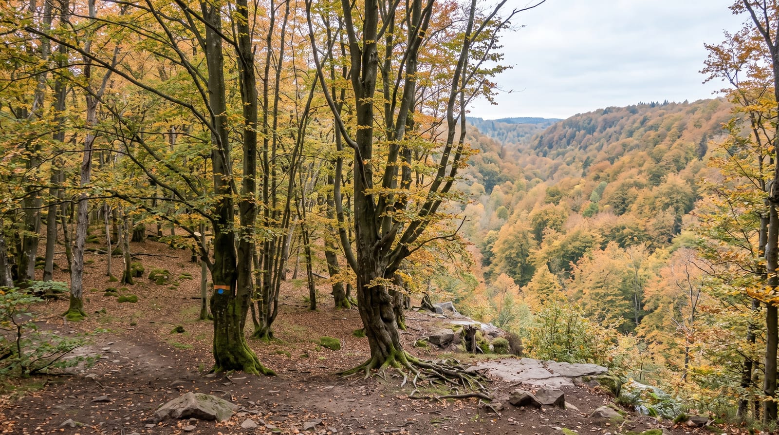 Soderasen National Park