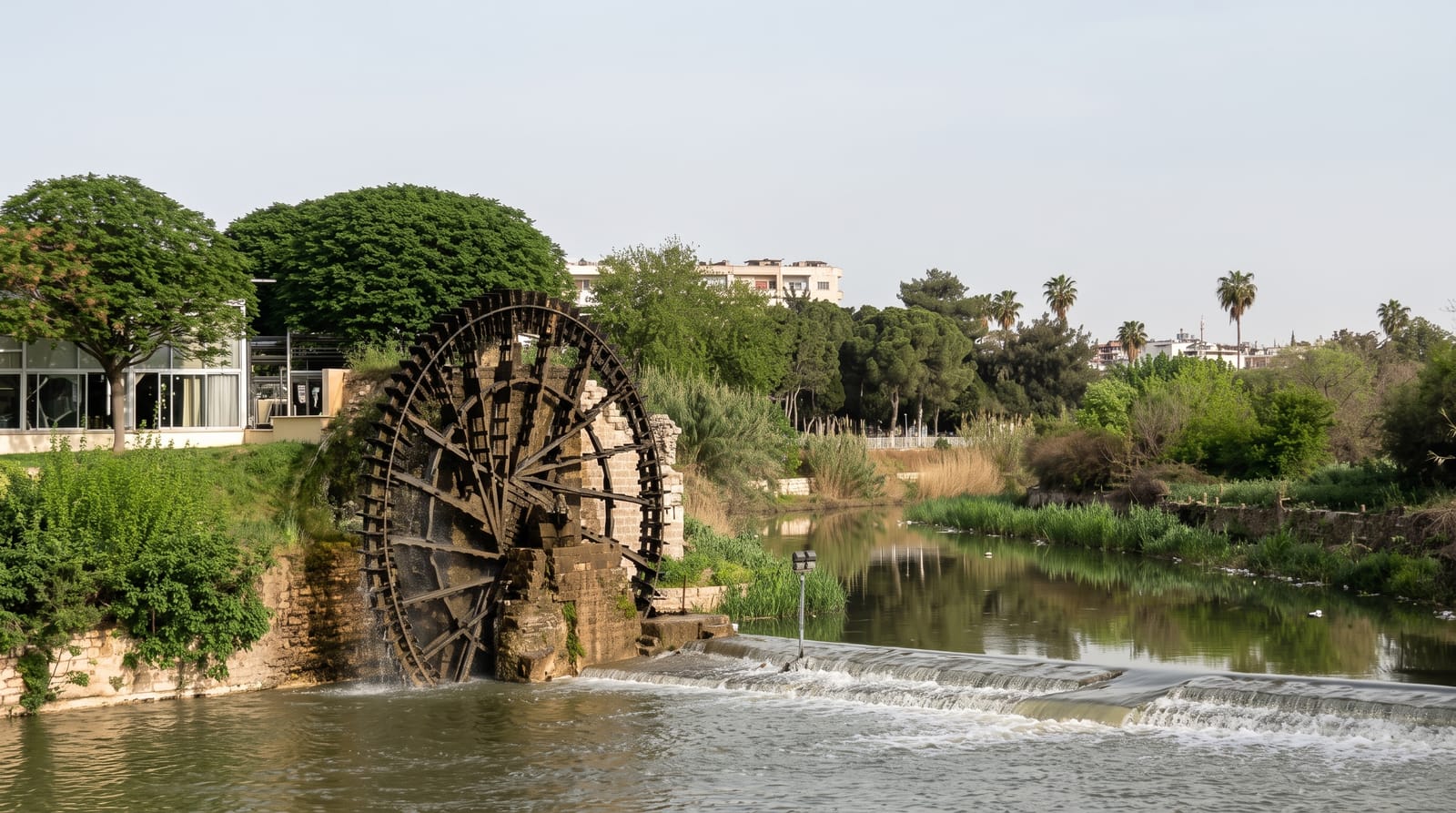 The Norias of Hama