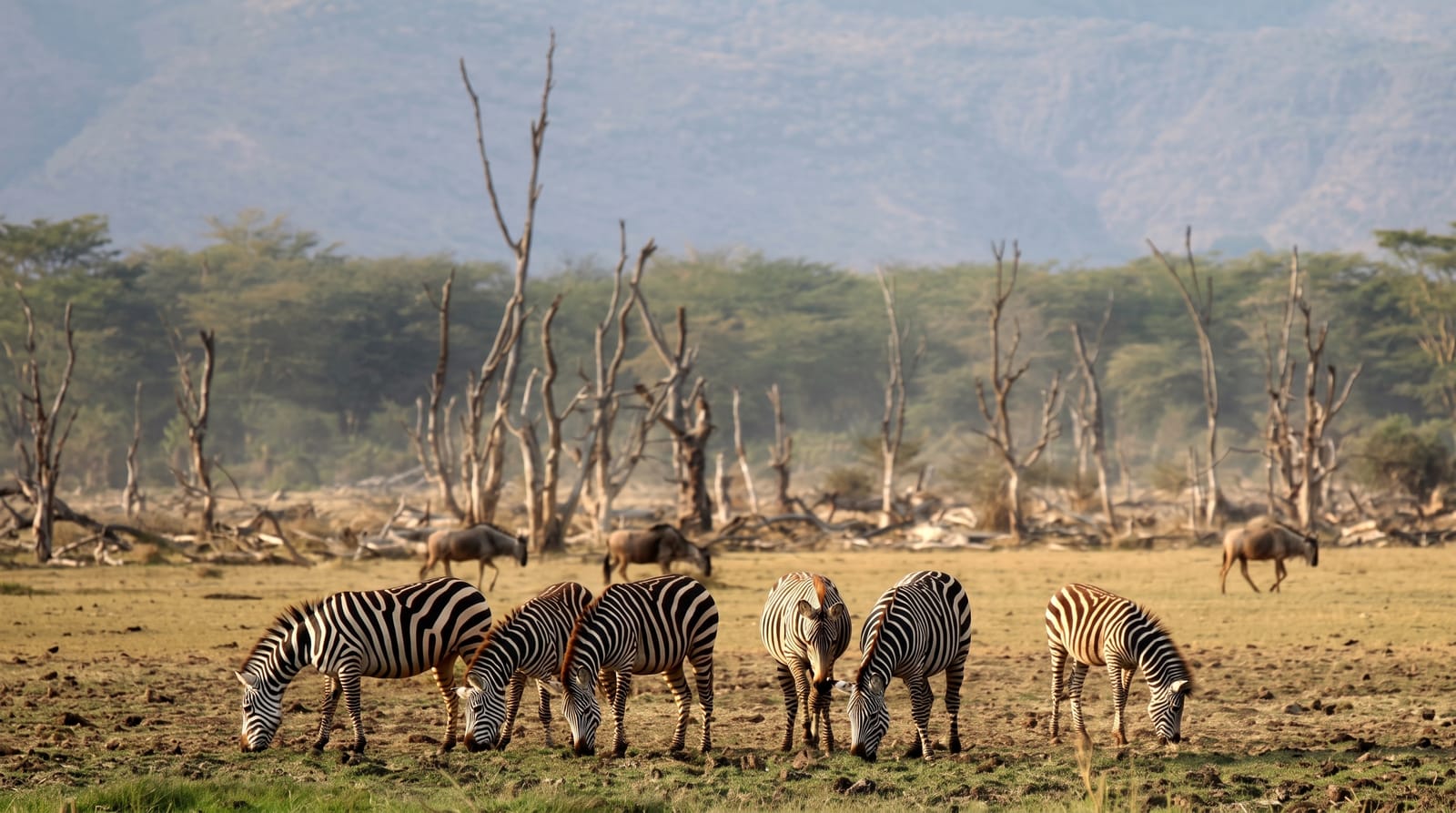 Lake Manyara National Park