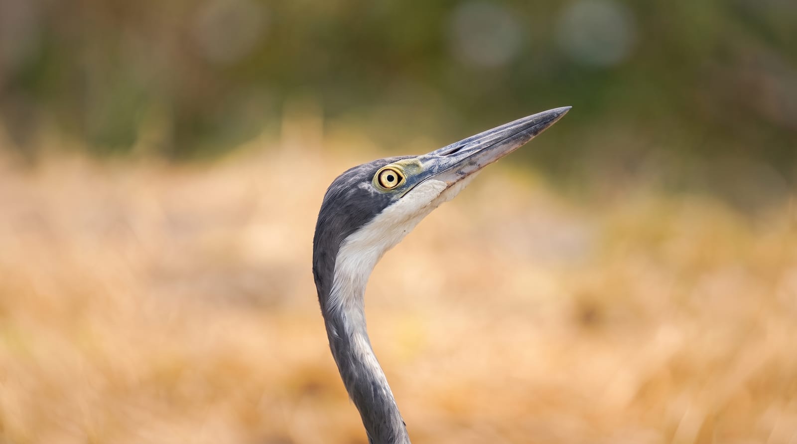 Tarangire National Park