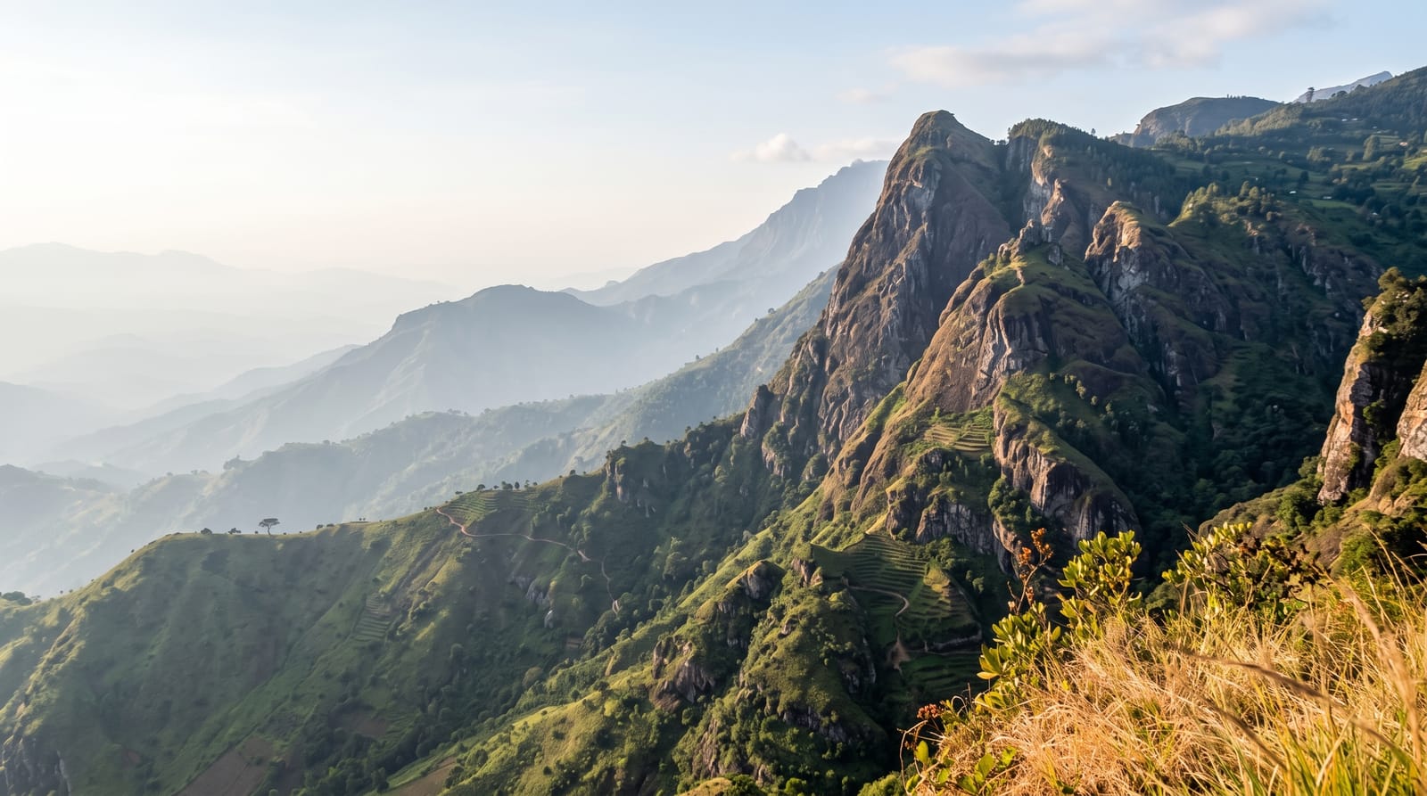 The Usambara Mountains