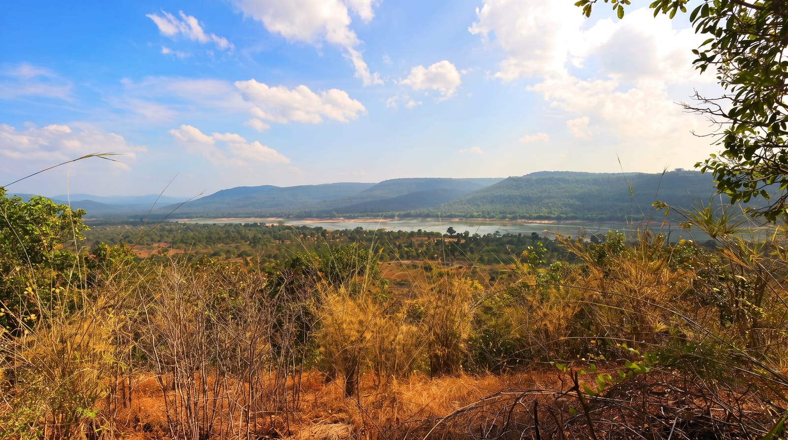 Pha Taem National Park
