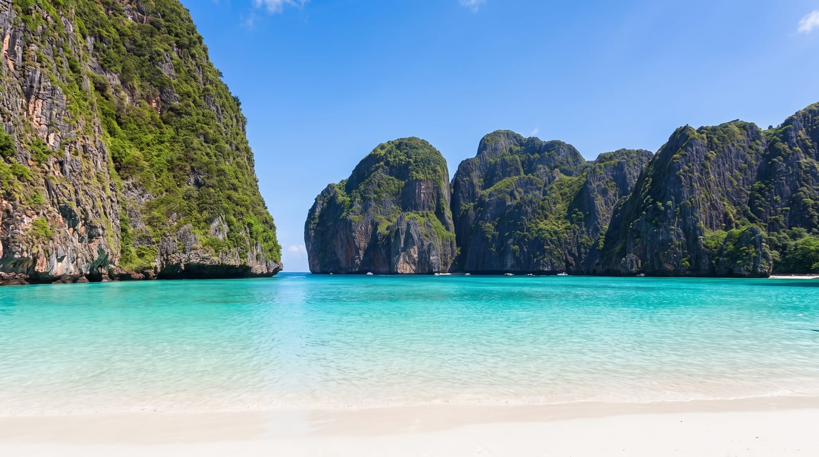 The Phi Phi Islands