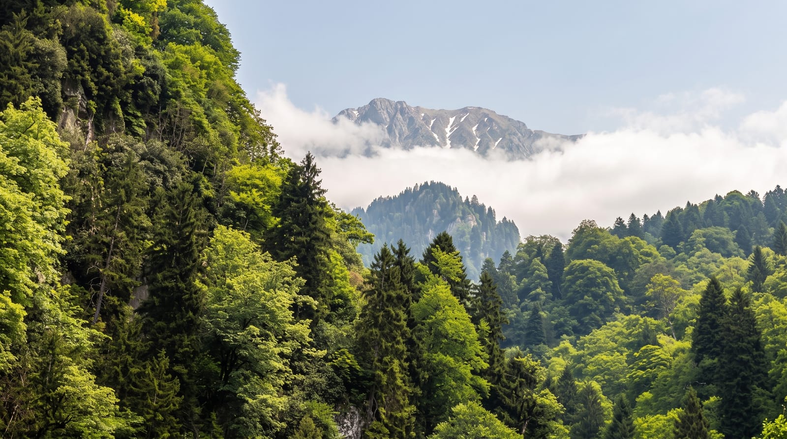 The Kackar Mountains