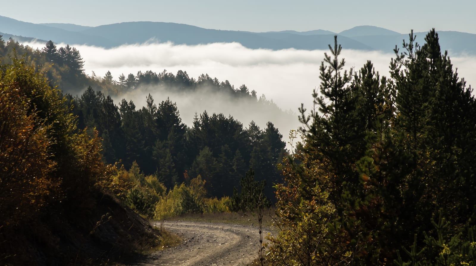 Küre Mountains National Park