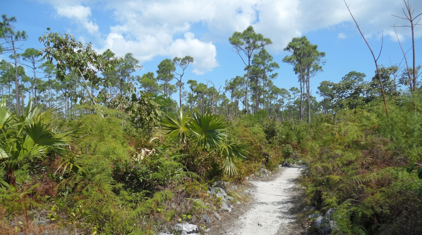 Lucayan Heritage