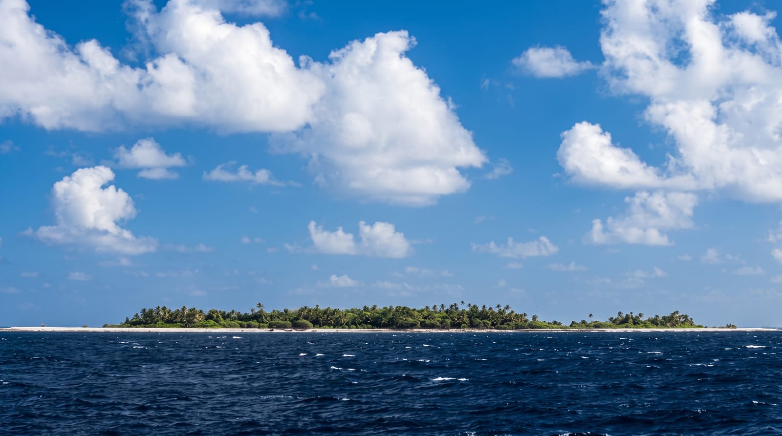 The Funafuti Conservation Area