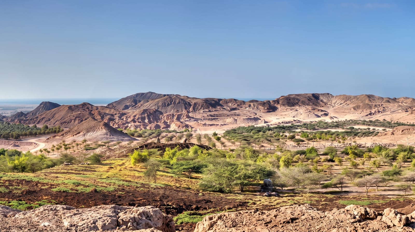 Sir Bani Yas Island