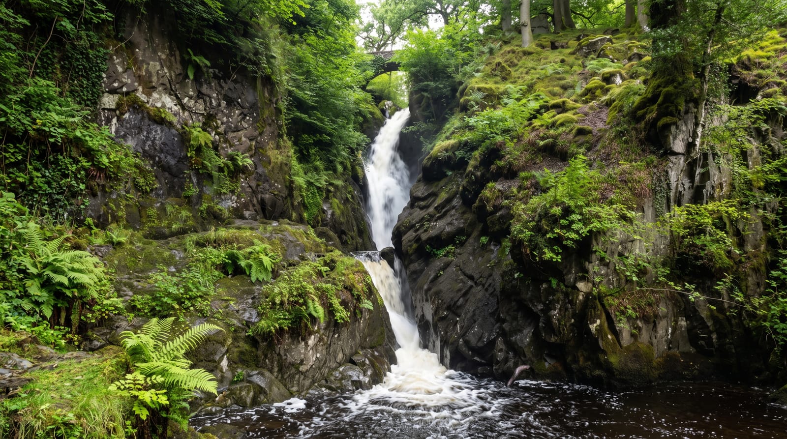 Aira Force