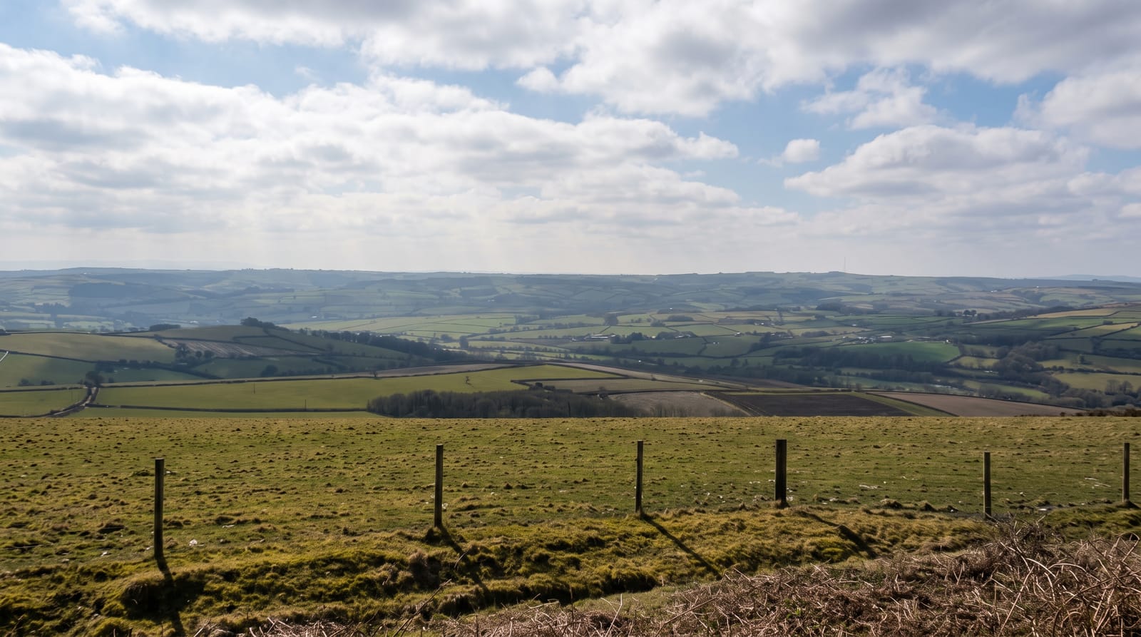 Bodmin Moor