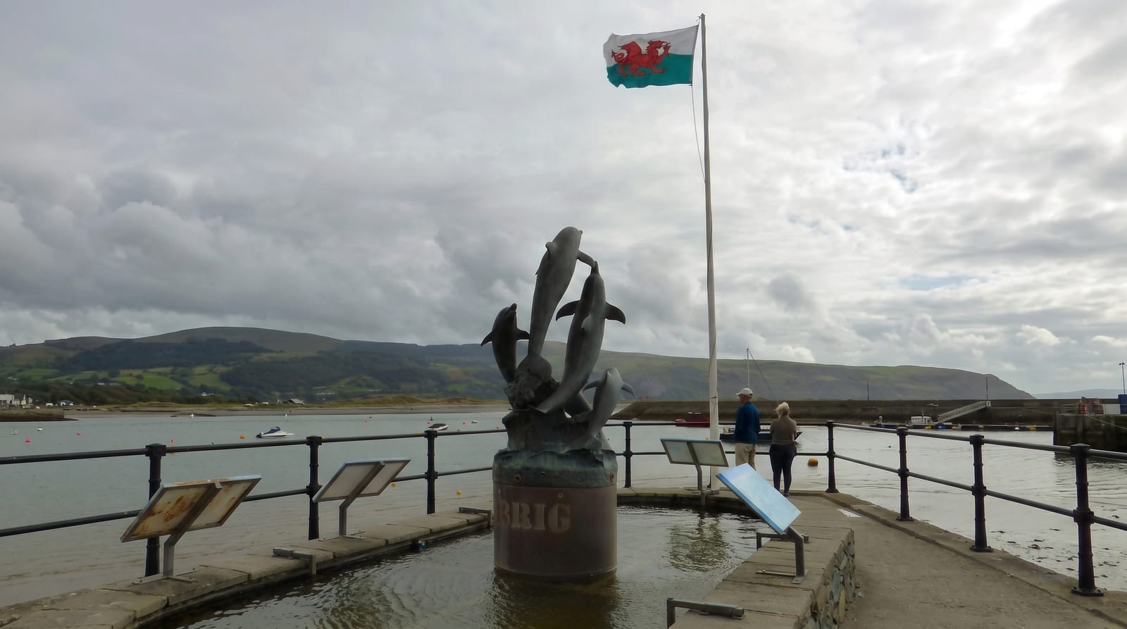 Cardigan Bay Dolphins
