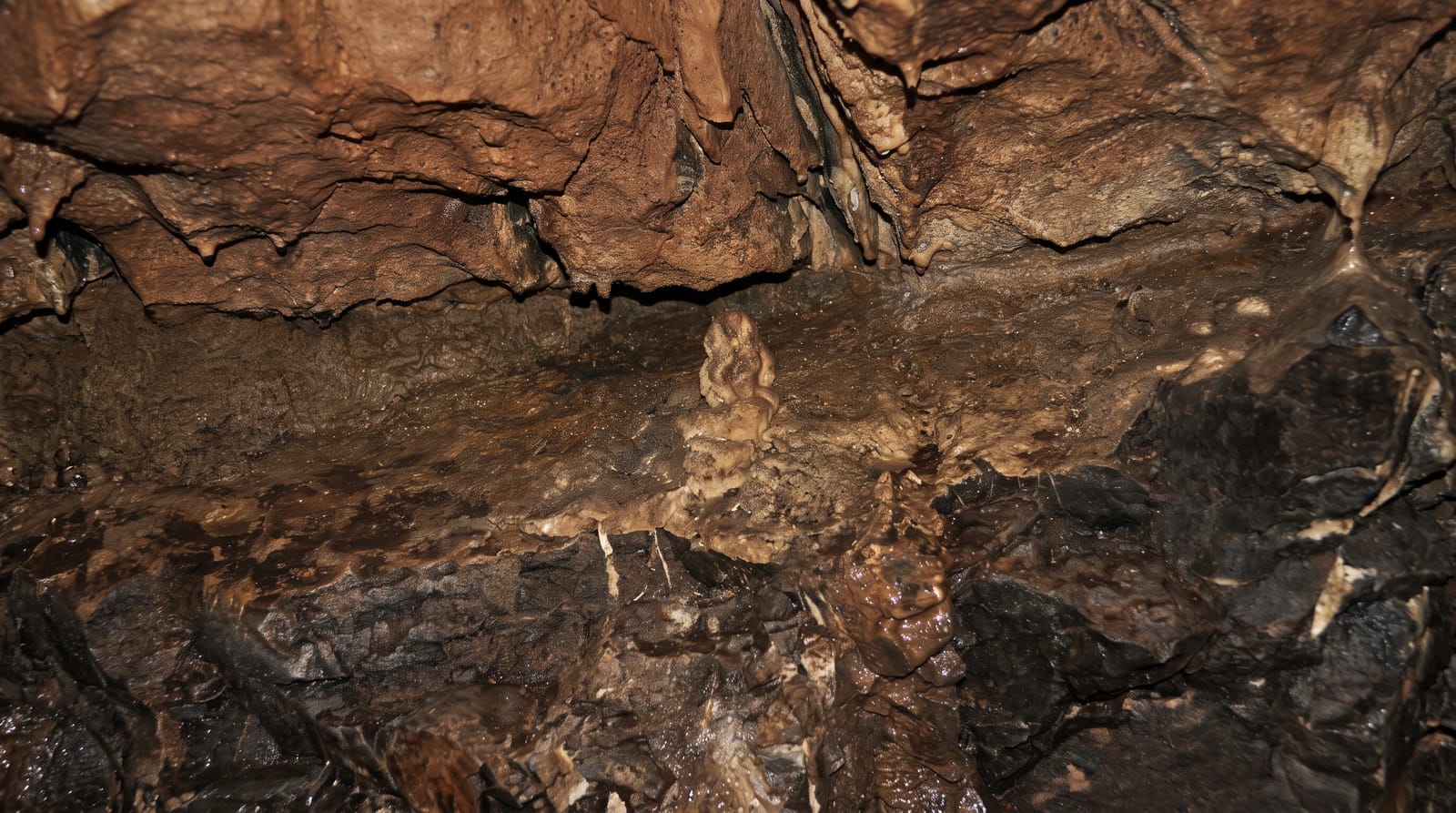 Dan-yr-Ogof Showcaves