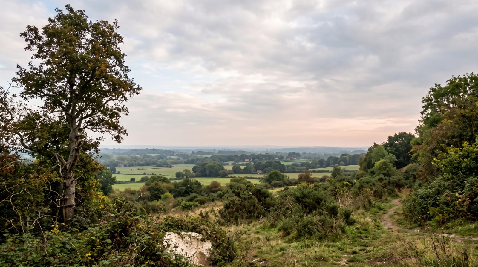 Dedham Vale