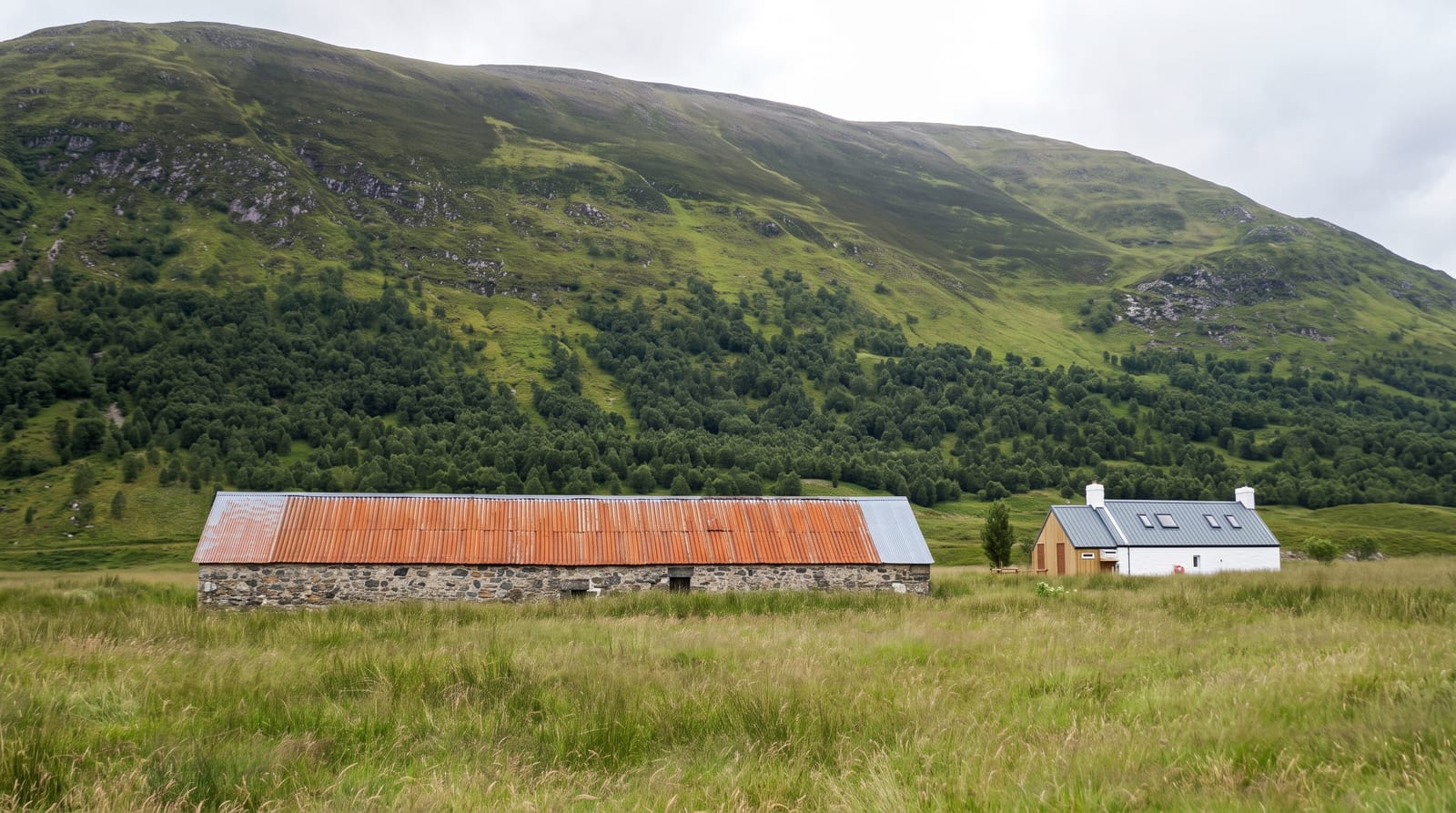 Glen Affric