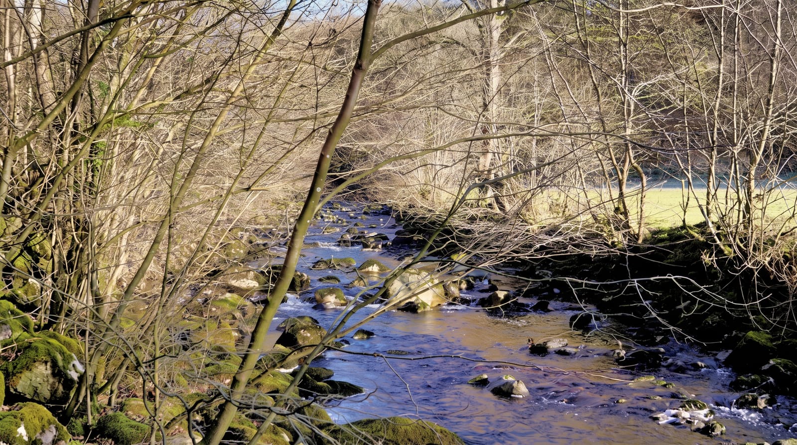 Ingleton Waterfalls Trail