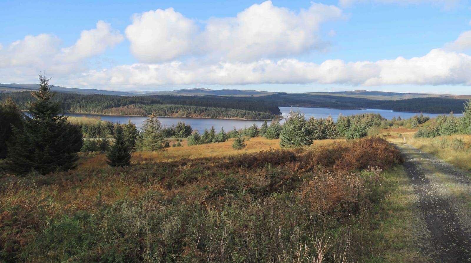 Kielder Water and Forest
