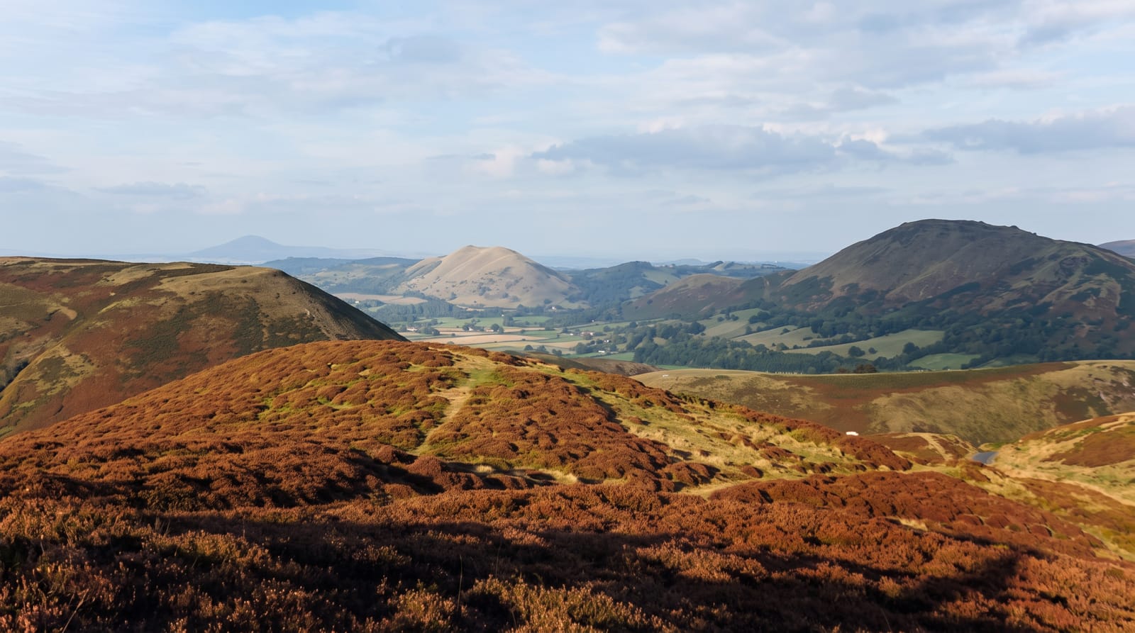Long Mynd