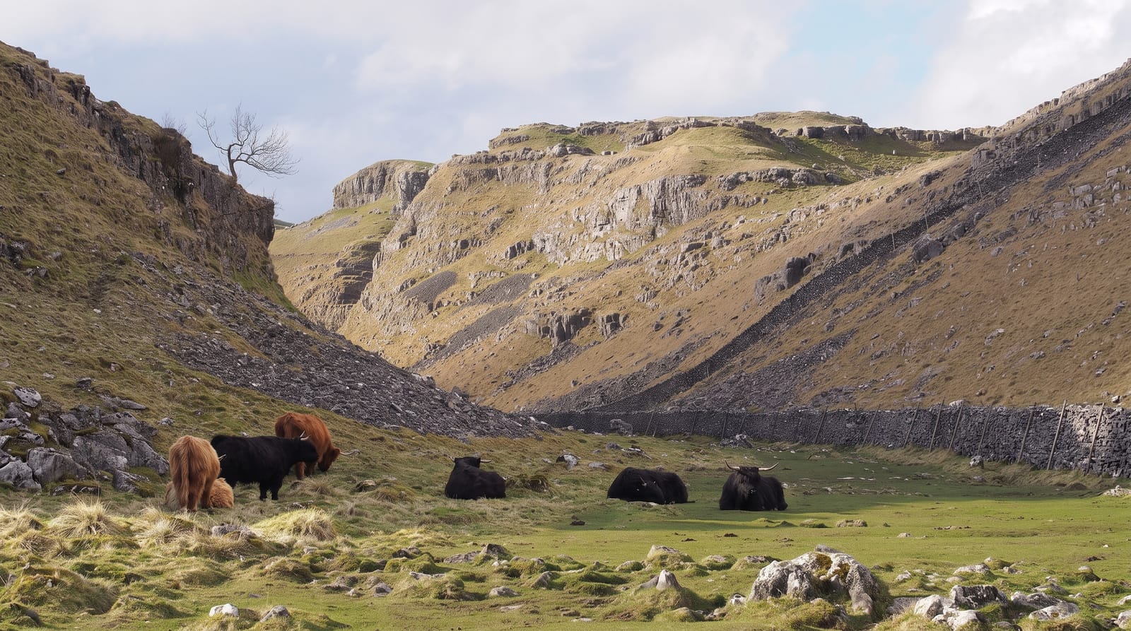 Malham Cove