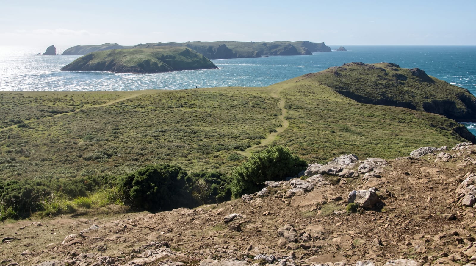 Skomer Island