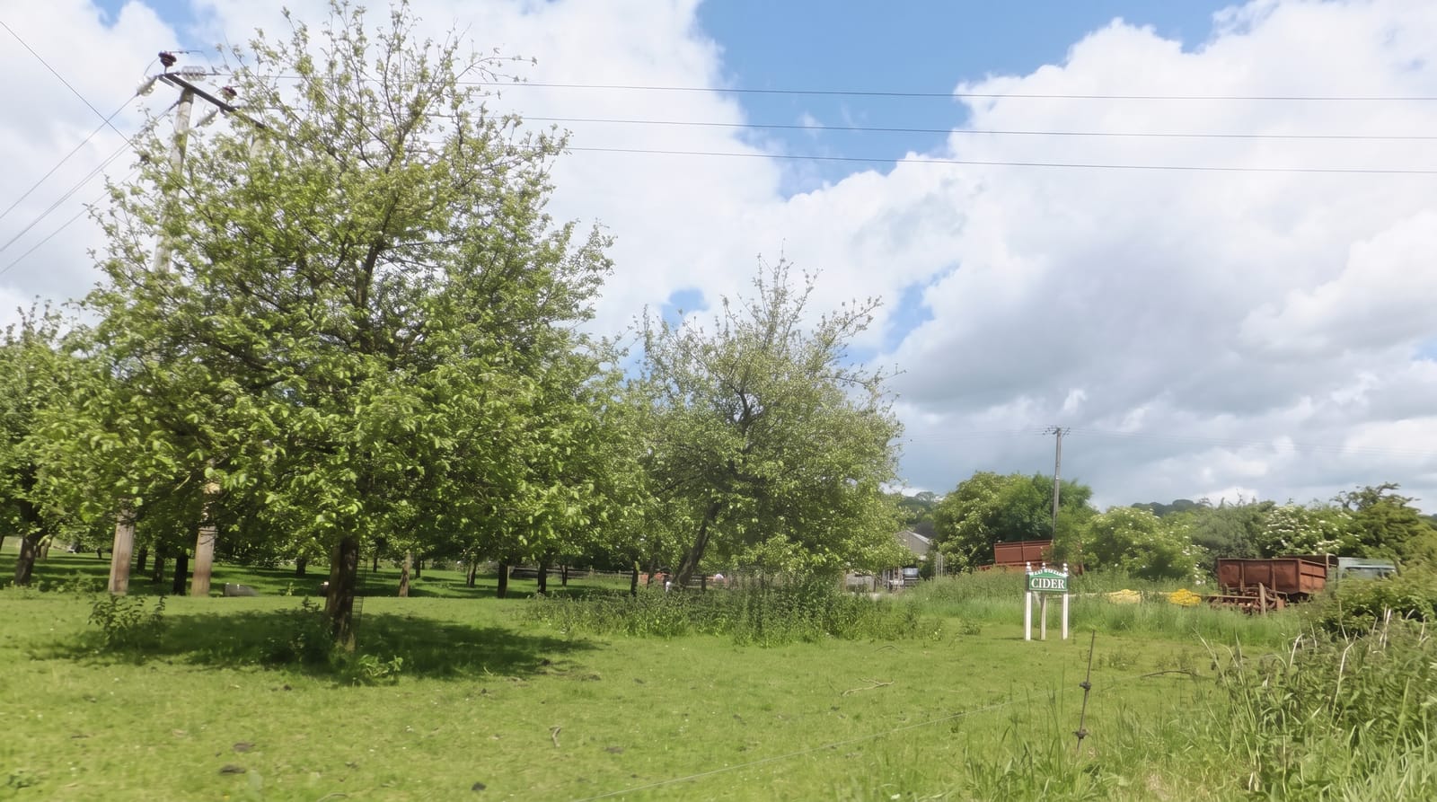 Somerset Cider Orchards