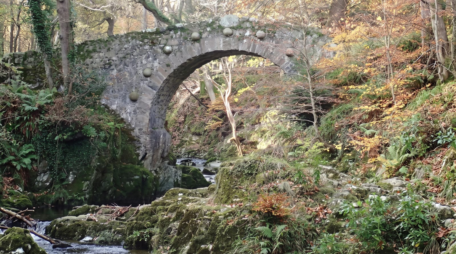 Tollymore Forest Park