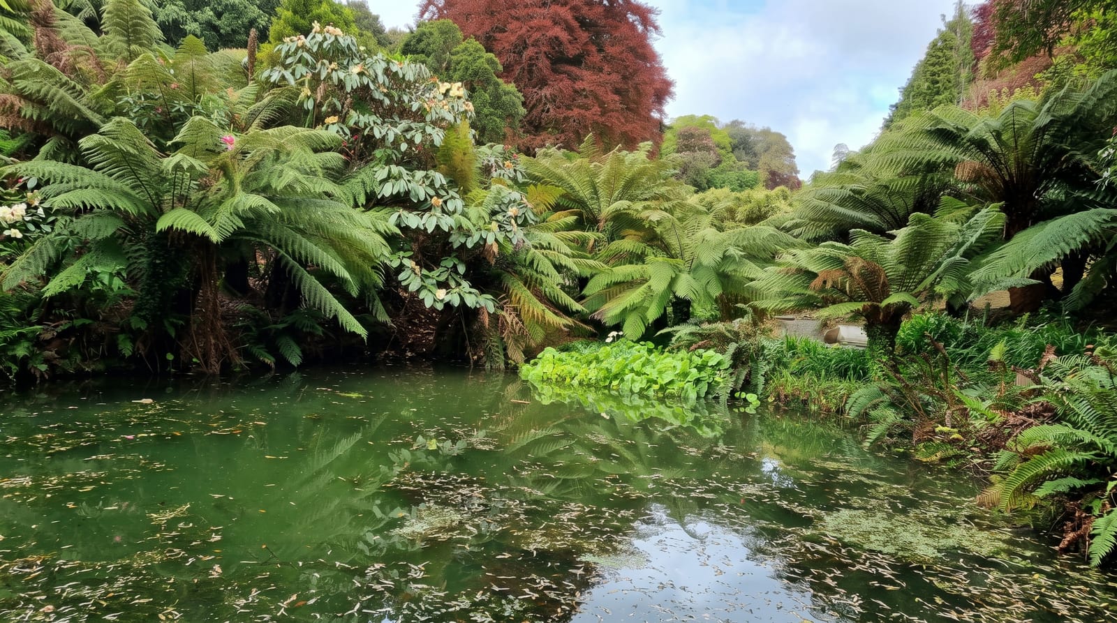 Trebah Garden