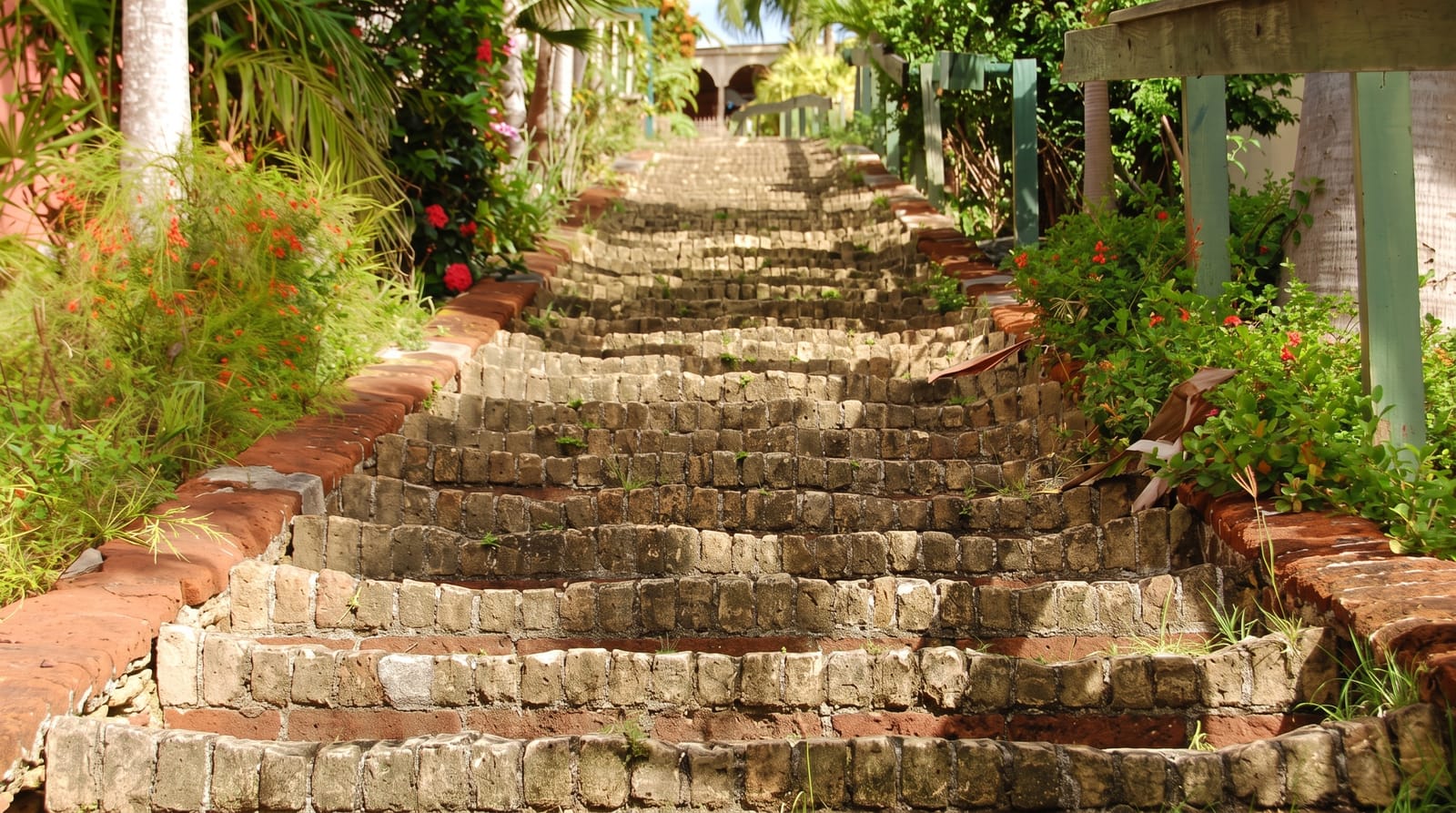 The 99 Steps