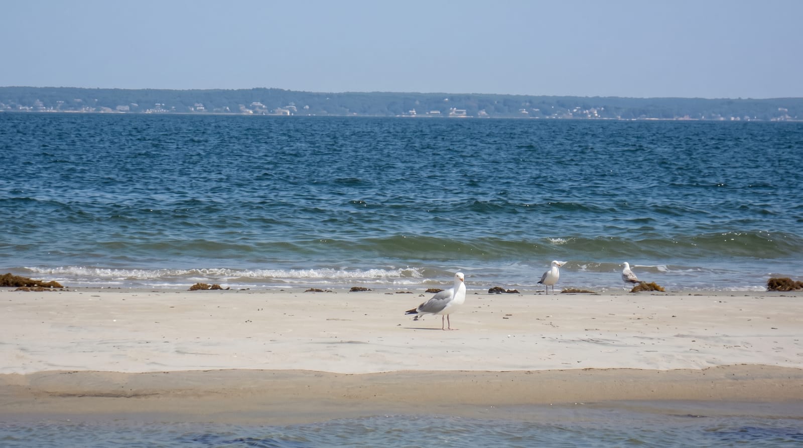Sandy Point