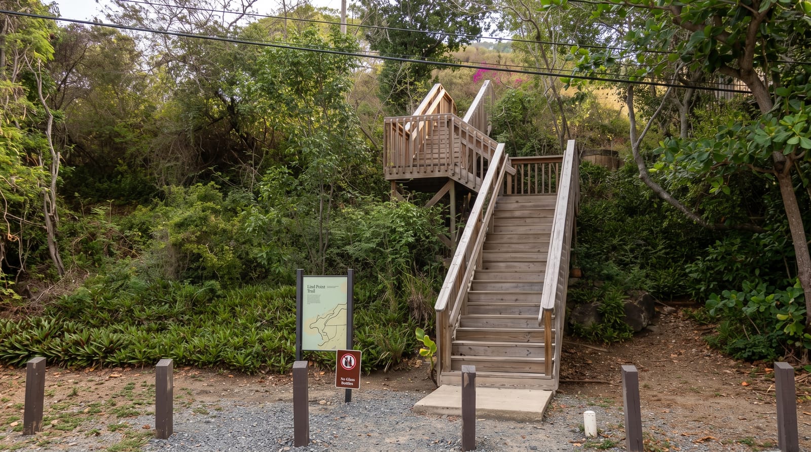 The St John Trails