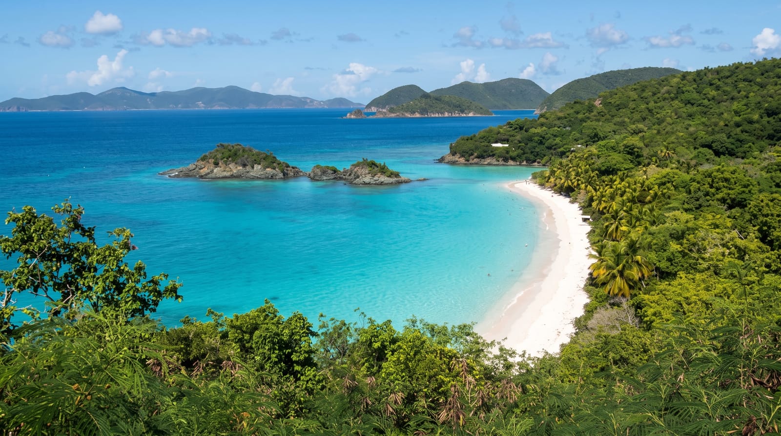 Trunk Bay