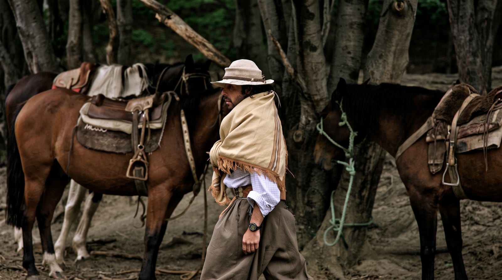 The Gaucho Estancias