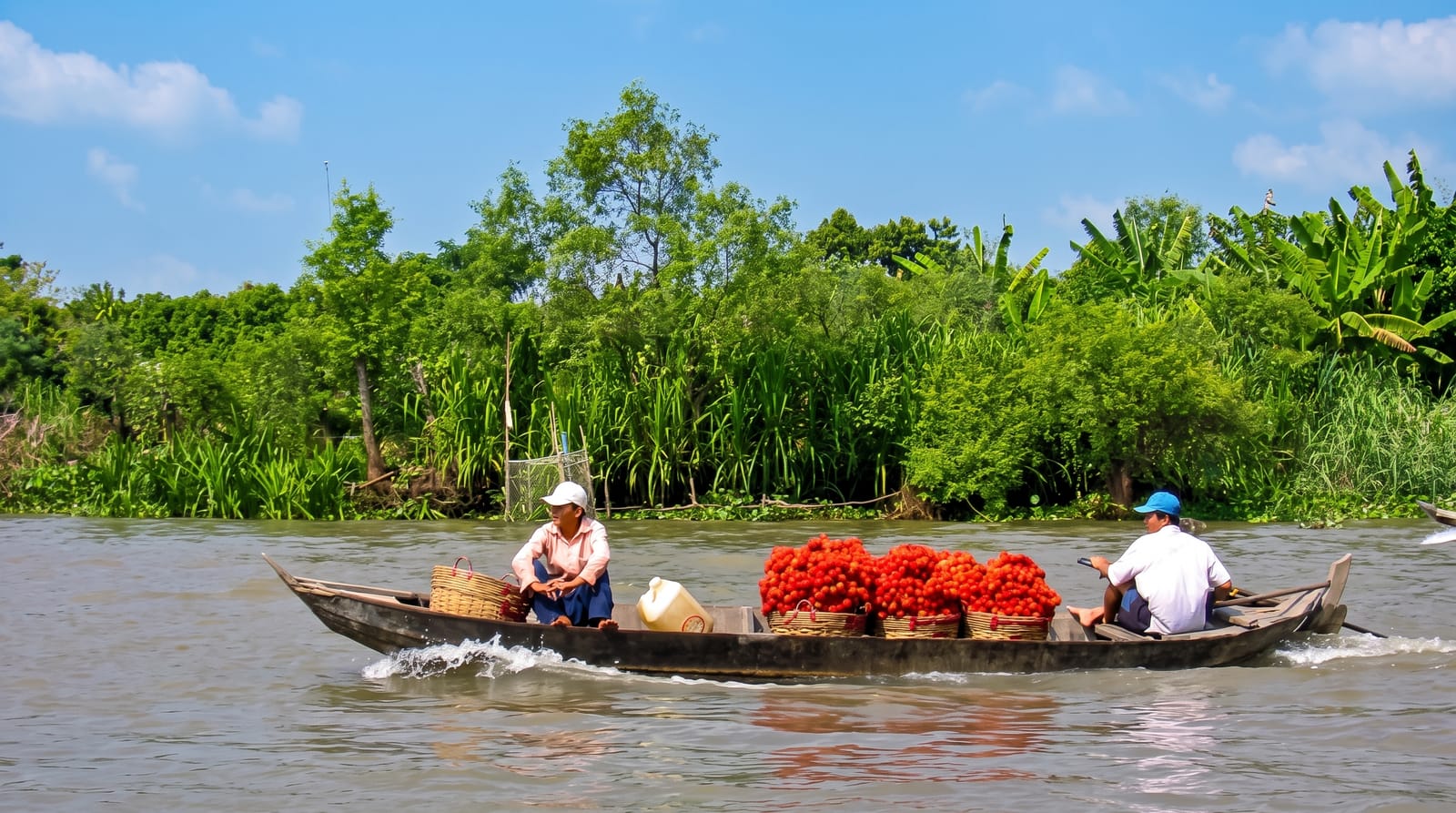 The Mekong Delta