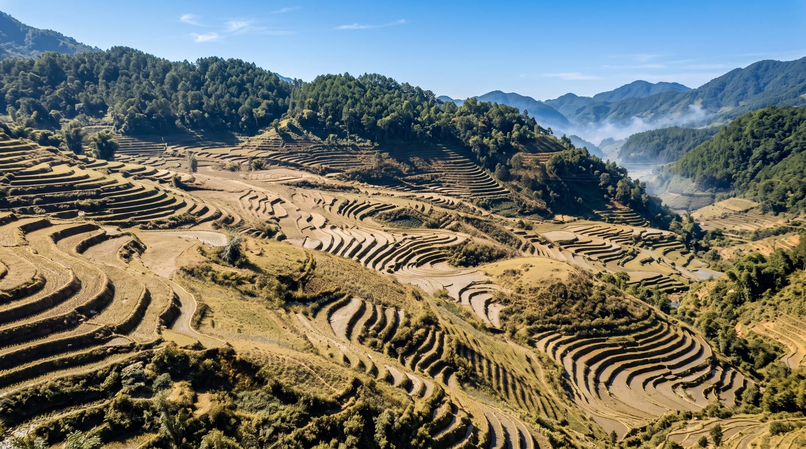 Ruộng bậc thang Sa Pa