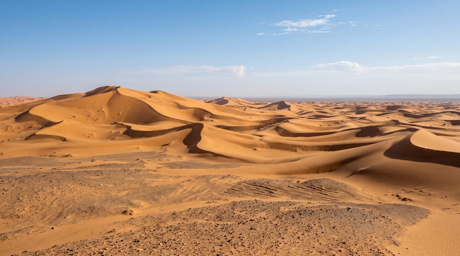 The Saharan Dunes