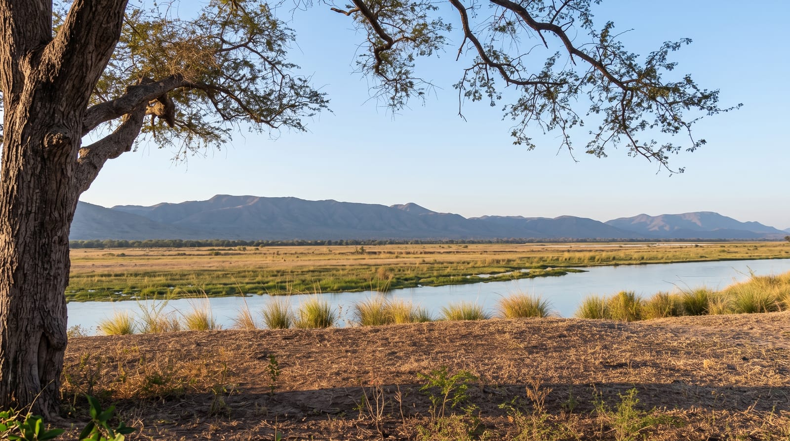 Mana Pools National Park
